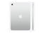 Apple iPad 11" - 11th Gen - Wi-Fi + Cellular- 256 GB