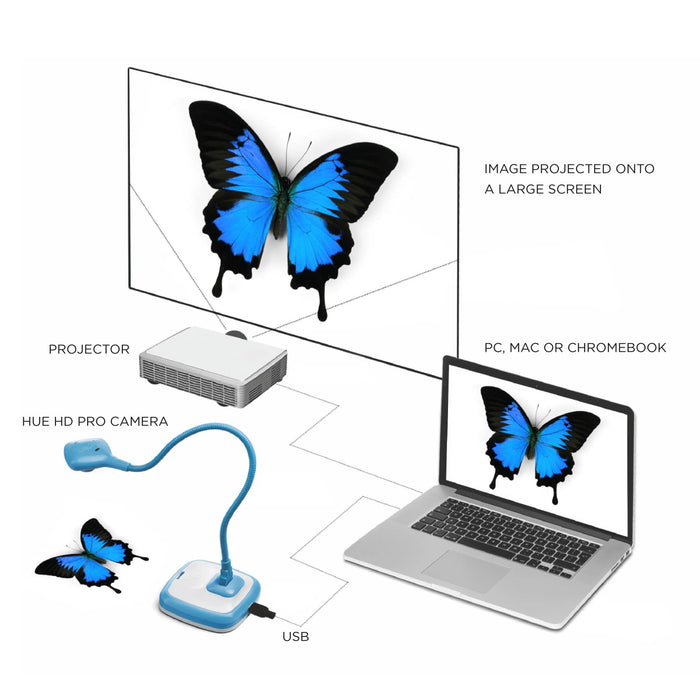 Diagram picturing the HUE HD Pro Camera in blue connecting to a laptop via USB and a projector showing the image on a wall.